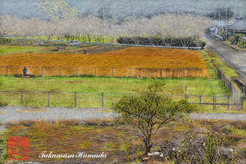 2023-Field-3-21
